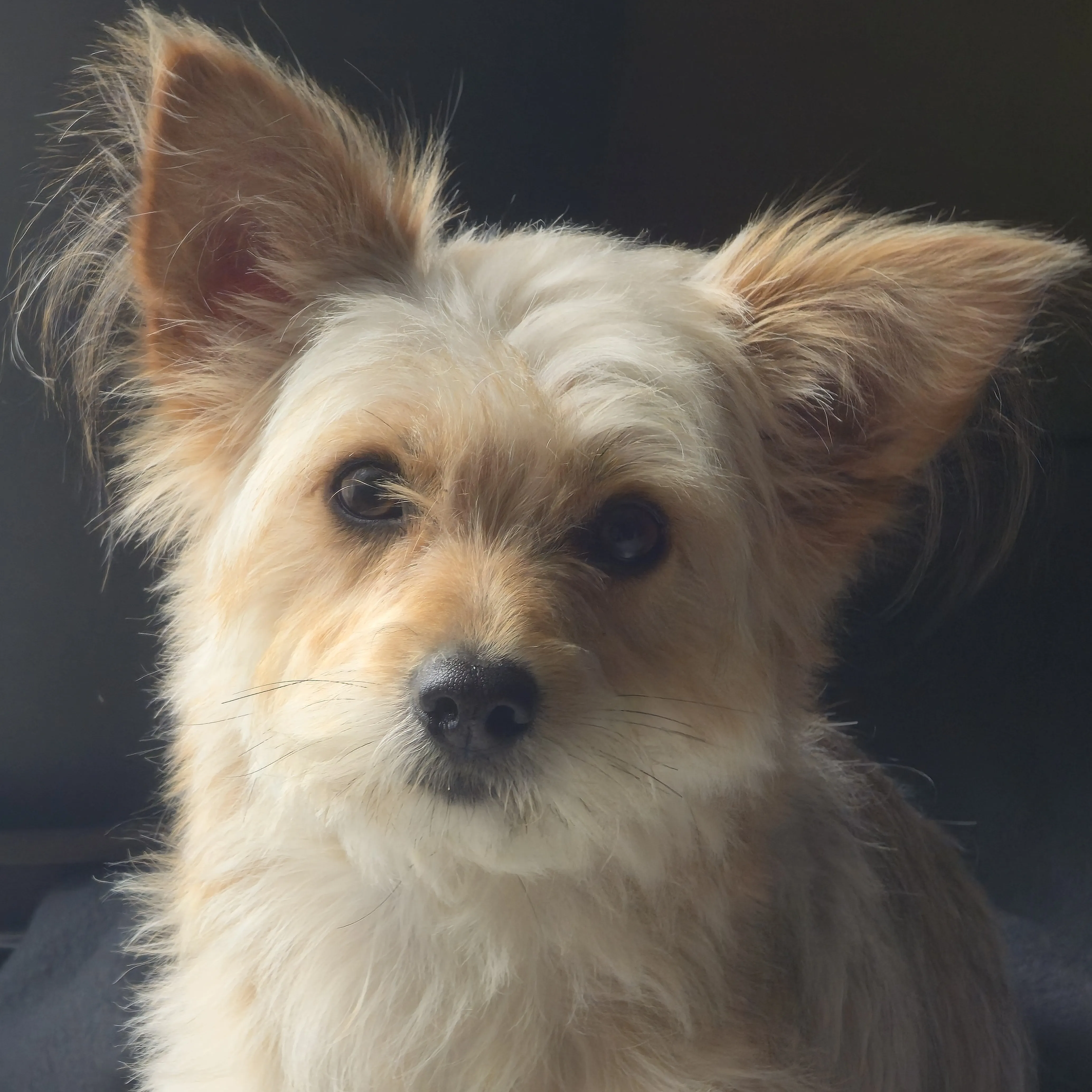 Portrait von Jaqueline Riemer – Freie Lektorin